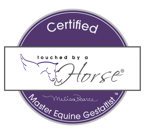 Master Equine Gestaltist