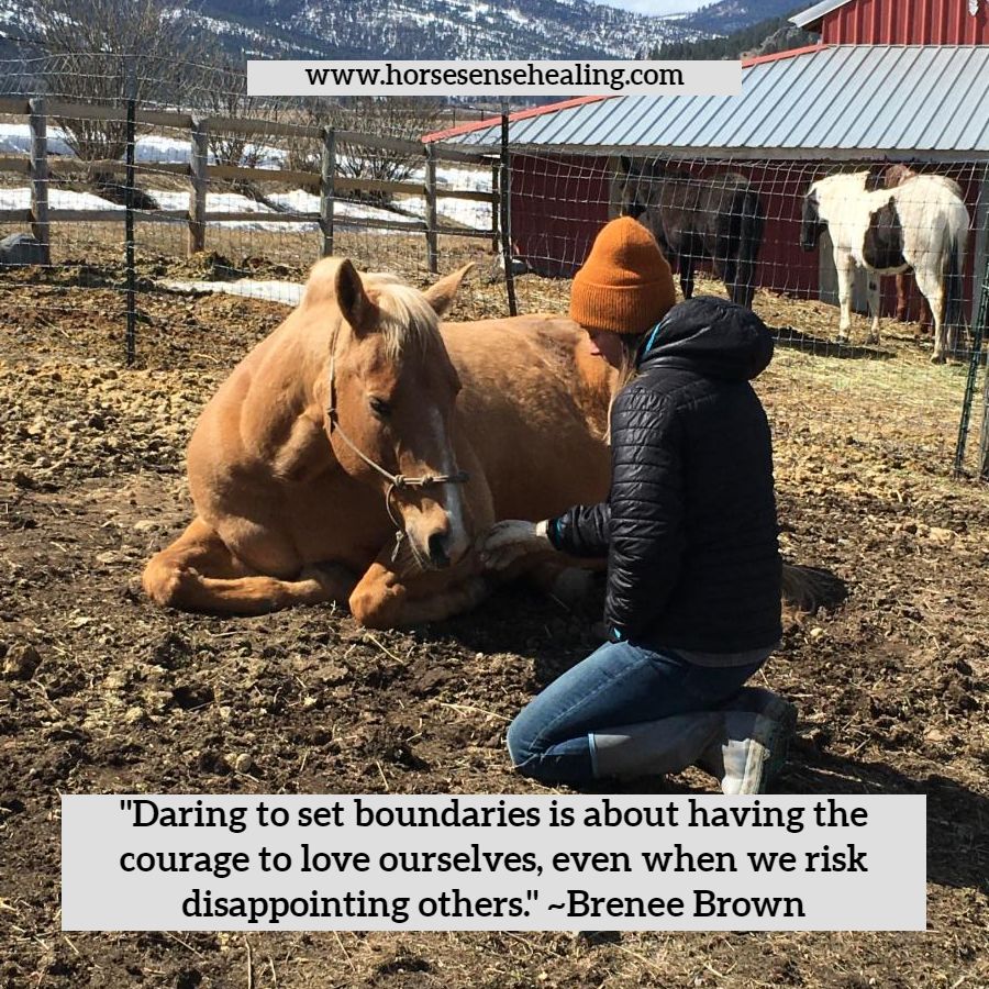 Boundaries Clinic at Horse Sense Healing