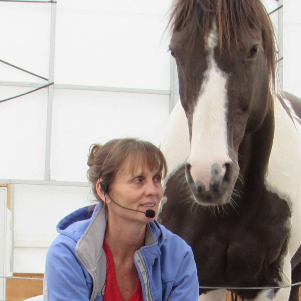 Brenda and Horse of Horse Sense Healing