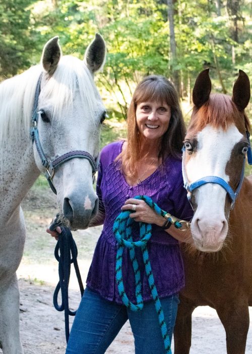 Brenda and the Horses of Horse Sense Healing