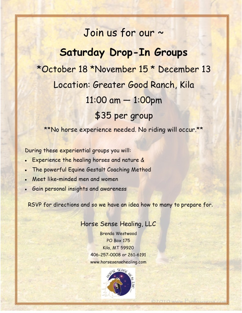 Final Saturday Drop In
