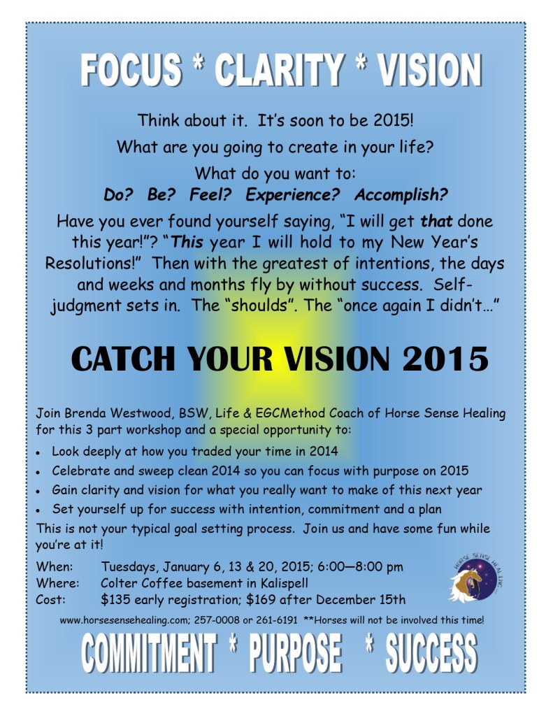 Catch your vision flyer