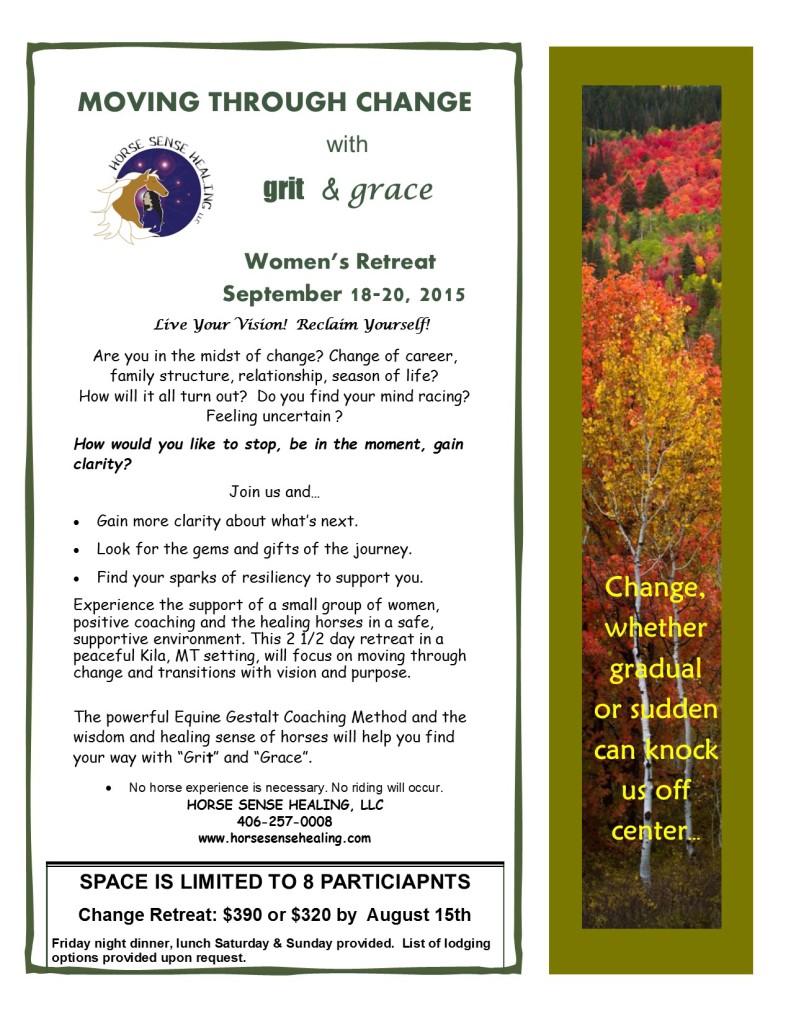 Change Retreat 2015 final