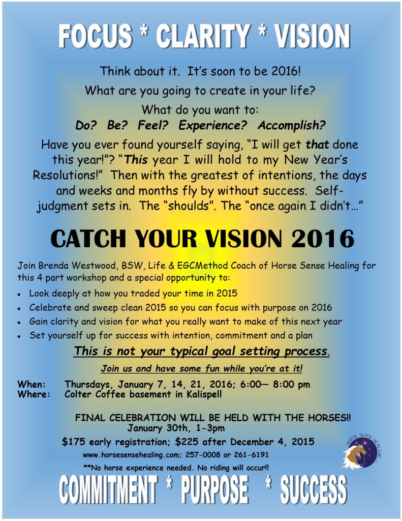 Catch your vision flyer